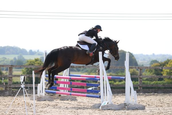 For sale: all rounder / young event horse